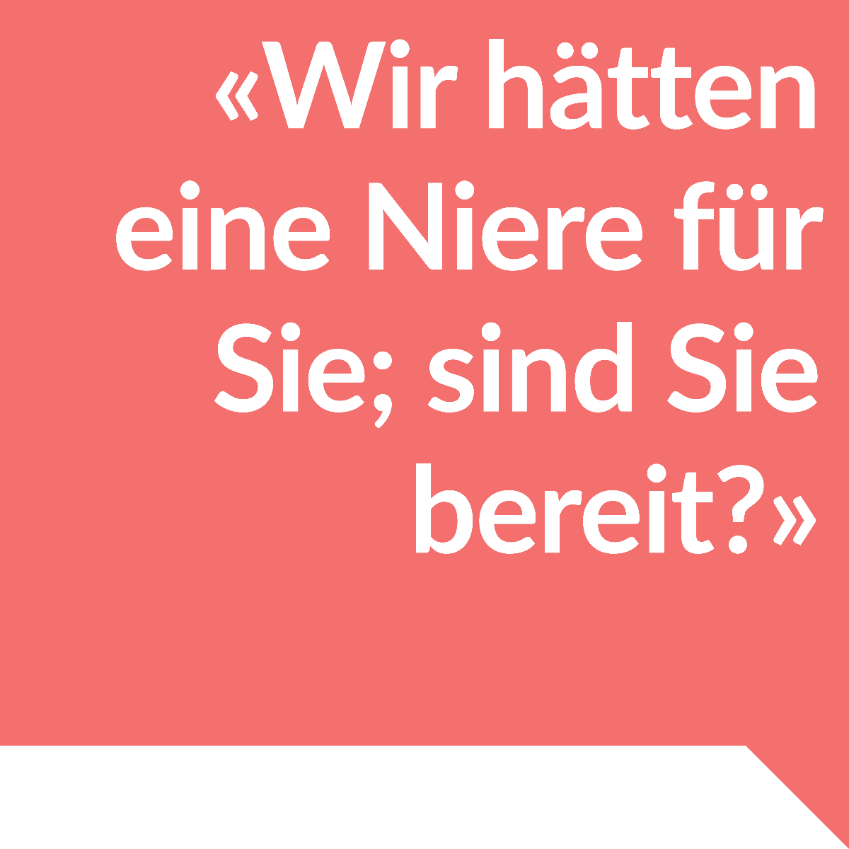 Leben mit einer Spenderniere